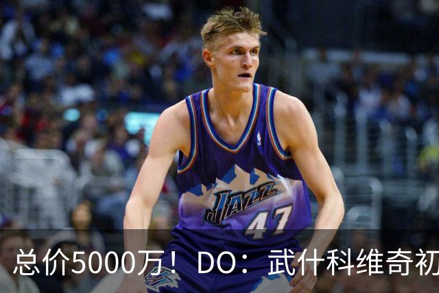 总价5000万！DO：武什科维奇初始转会费4600万镑，热刺有二转分成