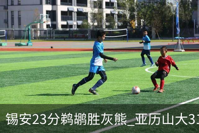锡安23分鹈鹕胜灰熊 亚历山大31+10雷霆屠公牛